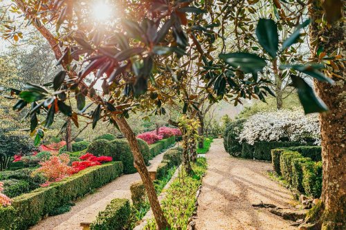 A sunlit garden path lined with vibrant flowers and neatly trimmed hedges, surrounded by lush greenery.