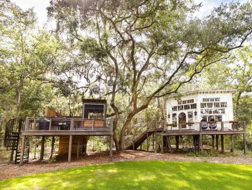 A charming two-story house nestled among trees, featuring a spiral staircase and large windows, surrounded by greenery.