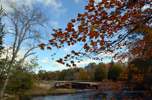 Autumn leaves in vibrant orange frame a serene river scene with a bridge and blue sky in the background.