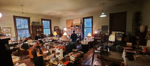 A cozy library filled with books, featuring people organizing and reading in a warm, inviting atmosphere.
