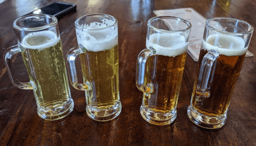 Four small glasses of beer, two light and two amber, arranged on a wooden table.