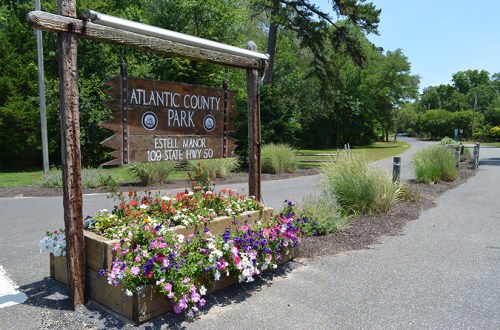 Sign for Atlantic County Park with flowers in a planter, surrounded by greenery and a road leading into the park.