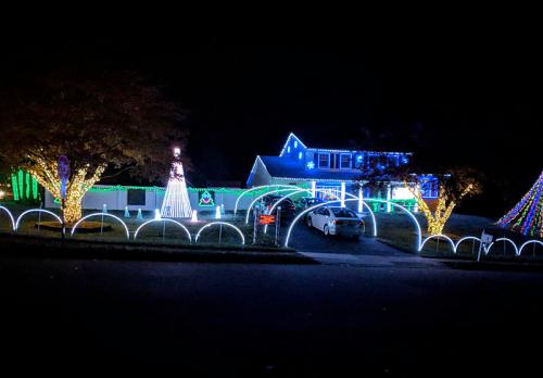 A house decorated with colorful Christmas lights, featuring trees and a snowman, set against a dark night sky.