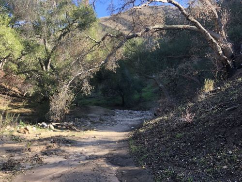 A serene landscape featuring a dry creek bed surrounded by trees and hills under a clear blue sky.