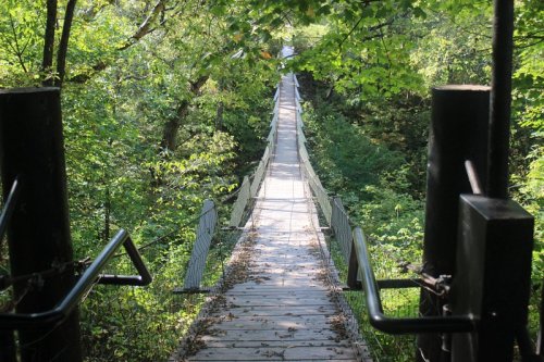 A wooden suspension bridge surrounded by lush green trees, leading into a dense forest.