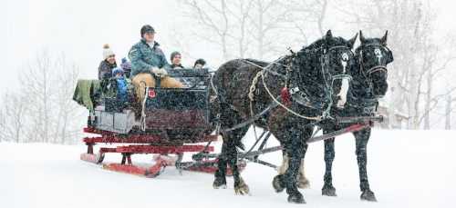 A horse-drawn sleigh carries passengers through a snowy landscape, surrounded by trees in a winter setting.