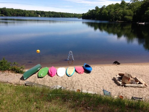 A serene lakeside scene with colorful kayaks and canoes on the sandy shore, surrounded by lush greenery.