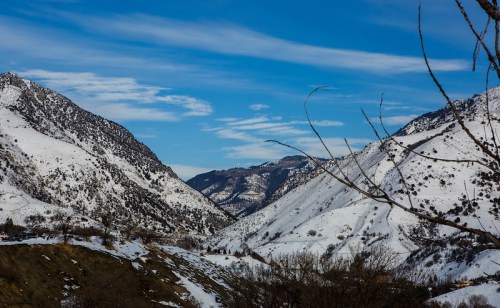 Snow-covered mountains under a blue sky with wispy clouds, framed by bare trees in the foreground.