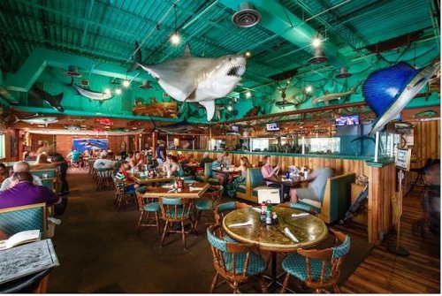 A vibrant seafood restaurant with a shark hanging from the ceiling, featuring diners at tables and colorful decor.