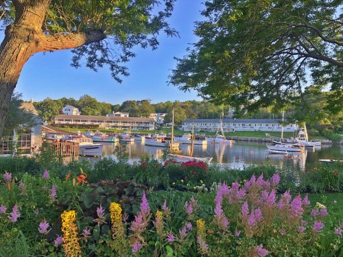 A serene marina scene with boats docked, surrounded by lush greenery and colorful flowers under a clear blue sky.