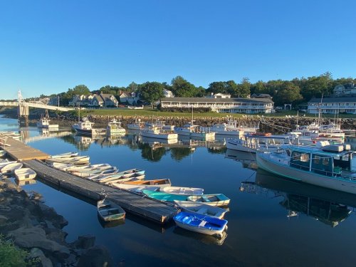 A serene harbor scene with various boats docked, surrounded by trees and houses under a clear blue sky.