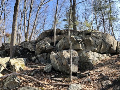 A large rock formation surrounded by bare trees and scattered leaves on the forest floor under a clear blue sky.