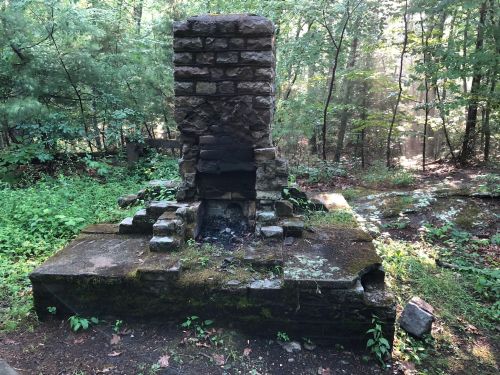 An old stone chimney stands in a lush, green forest, surrounded by trees and overgrown vegetation.