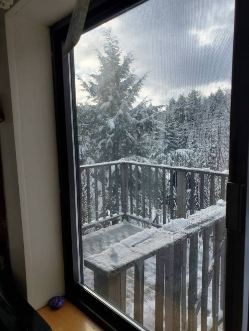 A snowy landscape viewed through a window, featuring a deck and trees covered in snow.