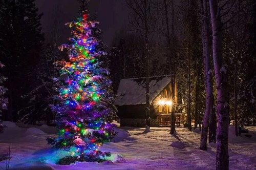 A brightly lit Christmas tree stands in the snow, with a cozy cabin glowing warmly in the background at night.