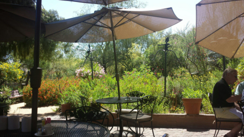 A sunny outdoor dining area with umbrellas, tables, and lush greenery in the background.