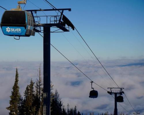 A ski gondola ascends above a sea of clouds, surrounded by evergreen trees and a clear blue sky.