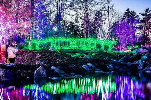 A serene landscape with colorful lights reflecting on water, surrounded by trees and rocks at dusk.