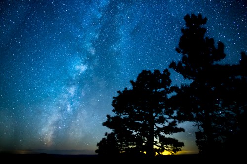 A starry night sky with the Milky Way visible, framed by silhouetted trees in the foreground.