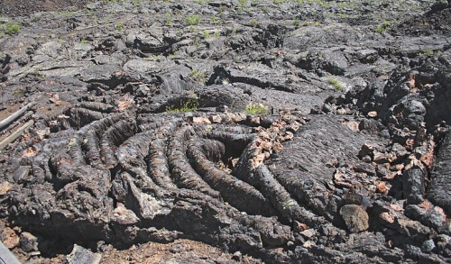 Lava rock formations with twisted, textured surfaces and patches of green vegetation emerging from the cracks.