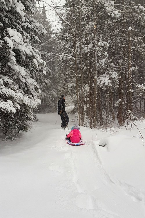 A child in a pink coat sits on a sled in deep snow, while an adult stands nearby among snowy trees.