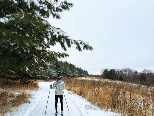A person cross-country skiing on a snowy trail surrounded by trees and fields in winter.