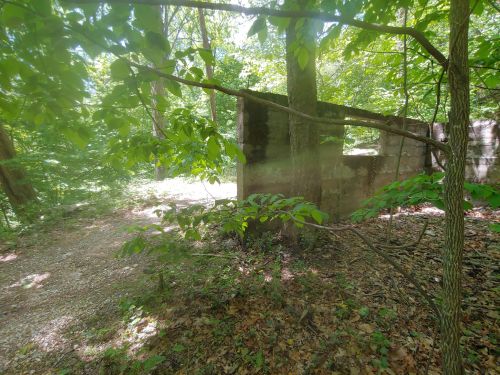 A partially collapsed stone wall surrounded by lush green trees and foliage in a wooded area.