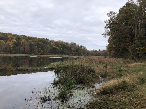 A serene lake surrounded by autumn foliage and grassy banks under a cloudy sky.