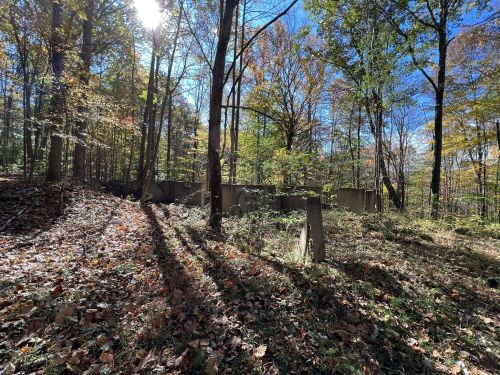 A sunlit forest scene with colorful autumn leaves and remnants of a concrete structure among the trees.