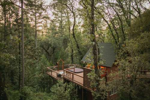 A cozy wooden cabin nestled among tall trees, featuring a deck and hot tub, surrounded by lush greenery at sunset.