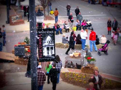 A festive street scene with people, hay bales, and animals during a winter event in Tuscombia, with snowflakes falling.