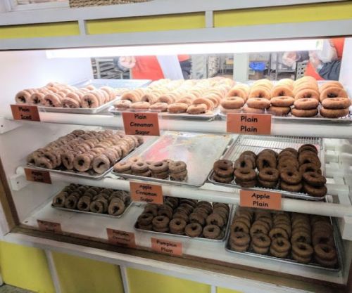 A display case filled with various types of donuts, labeled by flavor, including plain, cinnamon sugar, and apple.