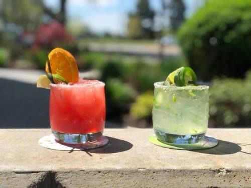 Two colorful cocktails sit on a stone ledge, one red with an orange slice and one green with a lime wedge, surrounded by greenery.
