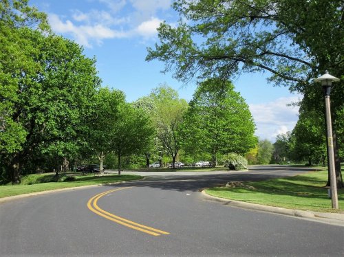 A winding road surrounded by lush green trees under a clear blue sky.