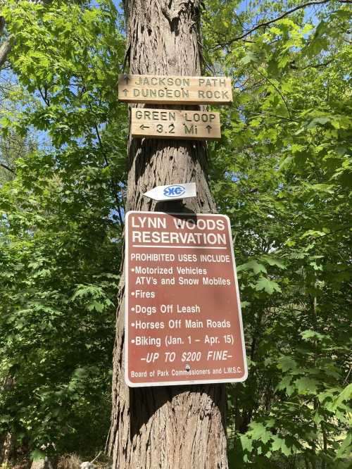 Trail signs on a tree in a wooded area, indicating paths and regulations for Lynn Woods Reservation.