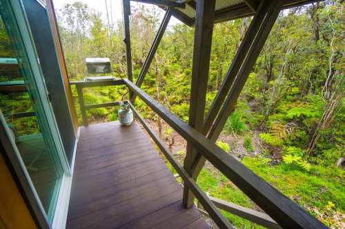 A wooden balcony overlooking a lush green forest with ferns and trees, featuring a metal bucket on the floor.