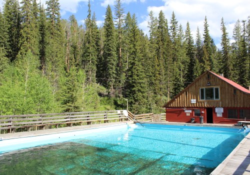A clear swimming pool surrounded by tall trees and a rustic wooden building in a natural setting.