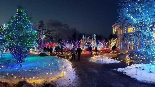 A winter scene with colorful holiday lights illuminating trees and pathways, with people walking through the festive display.