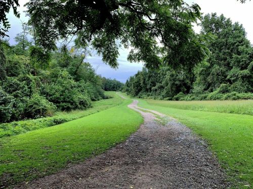 A winding dirt path through lush greenery, flanked by trees and open fields under a cloudy sky.