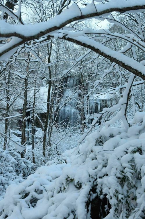 A snowy landscape with a waterfall partially visible through trees, surrounded by thick layers of snow.