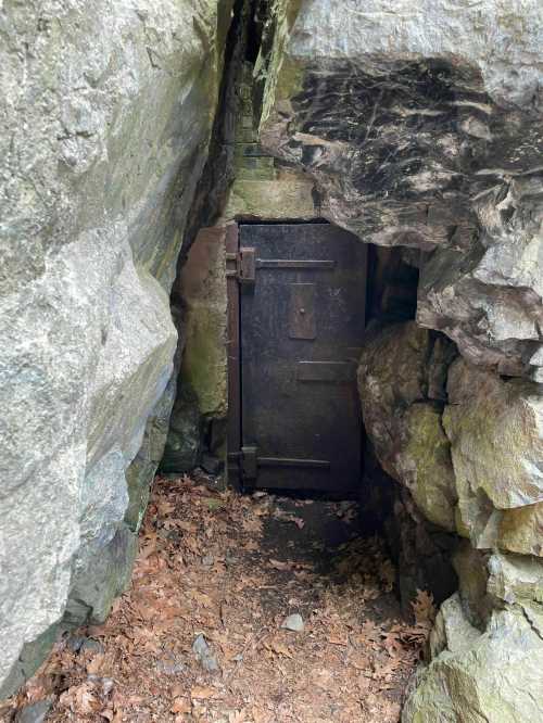 A dark, weathered door set between two large rock formations, surrounded by leaves and natural debris.