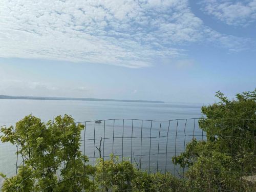 A serene view of a calm lake surrounded by greenery and a wire fence under a cloudy sky.