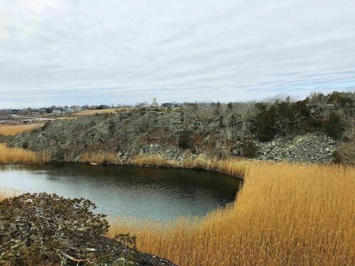 A serene landscape featuring a calm pond surrounded by tall grasses and rocky terrain under a cloudy sky.