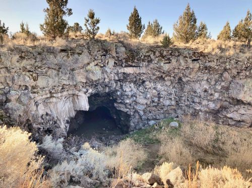 A rocky cave entrance surrounded by dry grass and sparse trees under a clear blue sky.