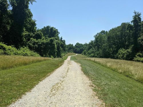 A gravel path winds through lush greenery under a clear blue sky, surrounded by trees and tall grass.