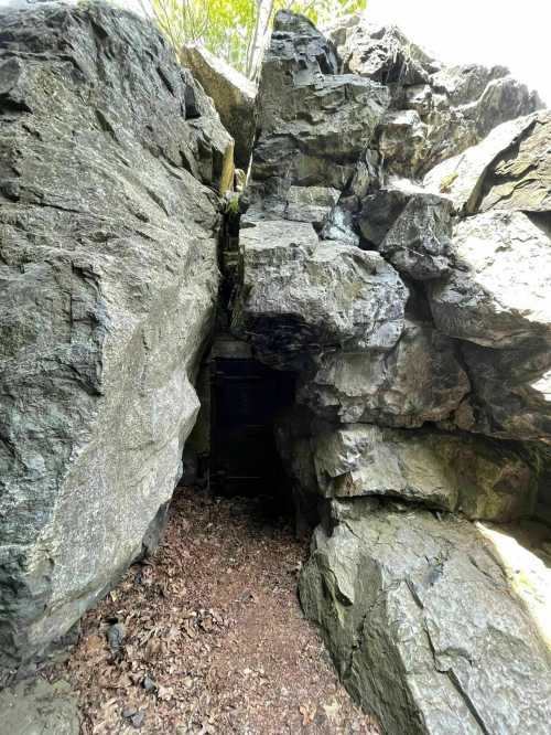 A narrow crevice between large rocks, leading to a dark opening in the ground, surrounded by leaves and greenery.