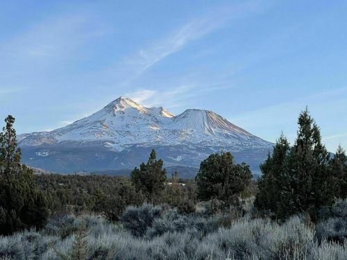 Snow-capped mountains rise against a clear blue sky, surrounded by green trees and shrubs in the foreground.
