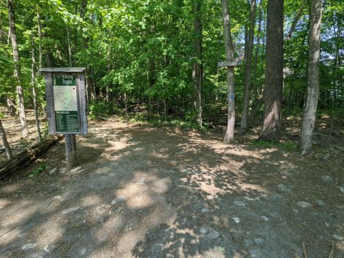 A trailhead sign in a wooded area, with a dirt path splitting into two directions among green trees.
