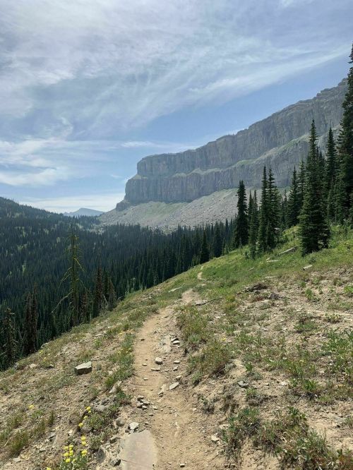 A winding dirt path leads through a forested area, with towering cliffs and a cloudy sky in the background.