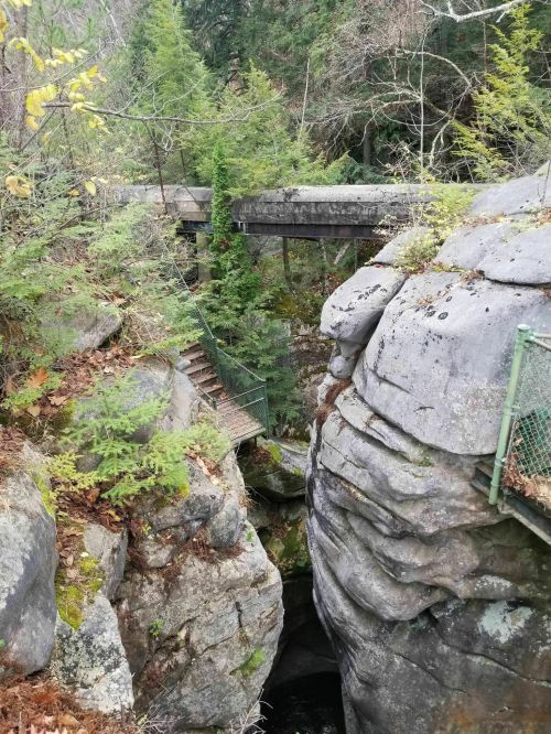 A rocky gorge surrounded by trees, with a bridge crossing above and a staircase leading down into the canyon.